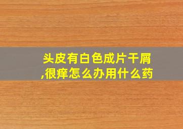 头皮有白色成片干屑,很痒怎么办用什么药