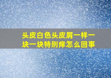 头皮白色头皮屑一样一块一块特别痒怎么回事