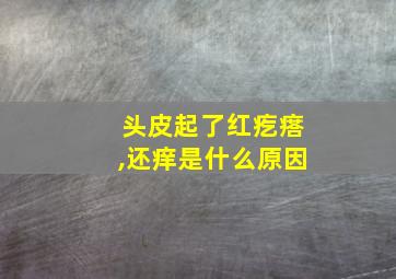 头皮起了红疙瘩,还痒是什么原因