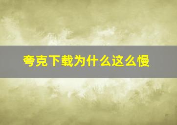 夸克下载为什么这么慢