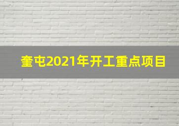 奎屯2021年开工重点项目