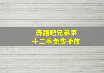 奔跑吧兄弟第十二季免费播放