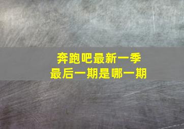 奔跑吧最新一季最后一期是哪一期