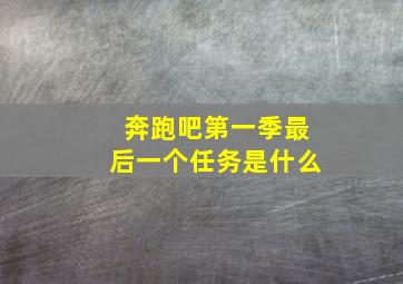 奔跑吧第一季最后一个任务是什么