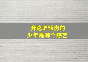 奔跑吧骄傲的少年是哪个综艺