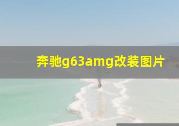 奔驰g63amg改装图片