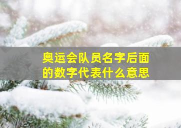 奥运会队员名字后面的数字代表什么意思