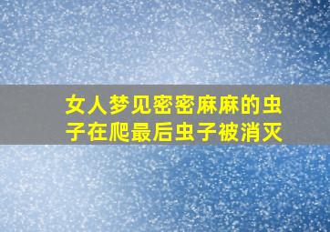 女人梦见密密麻麻的虫子在爬最后虫子被消灭