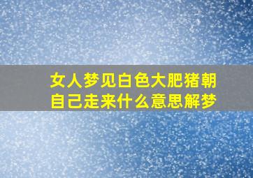 女人梦见白色大肥猪朝自己走来什么意思解梦