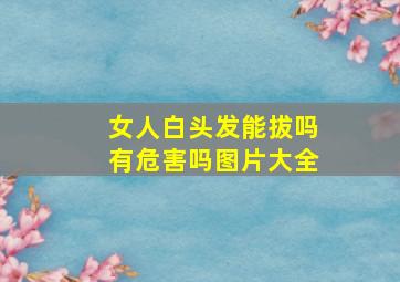 女人白头发能拔吗有危害吗图片大全