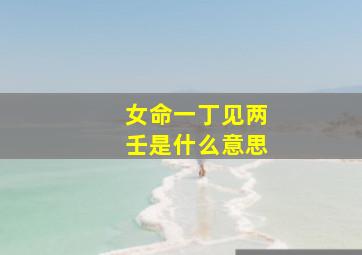 女命一丁见两壬是什么意思