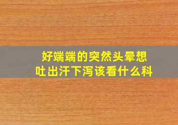 好端端的突然头晕想吐出汗下泻该看什么科