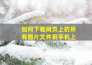 如何下载网页上的所有图片文件到手机上