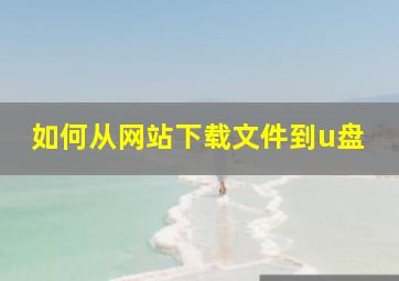 如何从网站下载文件到u盘