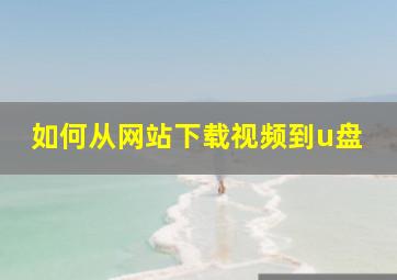 如何从网站下载视频到u盘