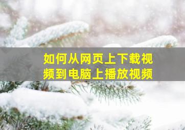 如何从网页上下载视频到电脑上播放视频