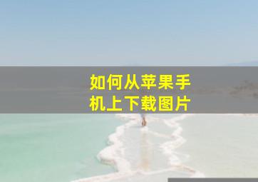 如何从苹果手机上下载图片