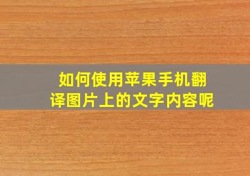 如何使用苹果手机翻译图片上的文字内容呢