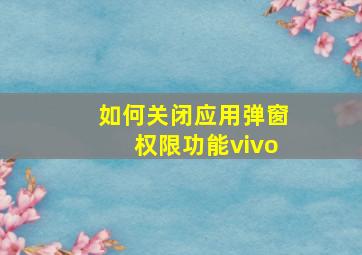 如何关闭应用弹窗权限功能vivo