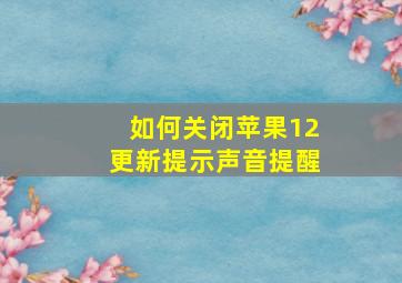 如何关闭苹果12更新提示声音提醒