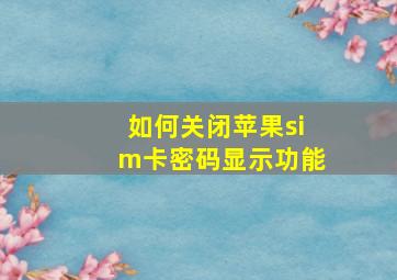 如何关闭苹果sim卡密码显示功能