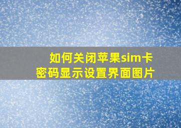 如何关闭苹果sim卡密码显示设置界面图片