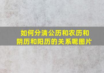 如何分清公历和农历和阴历和阳历的关系呢图片