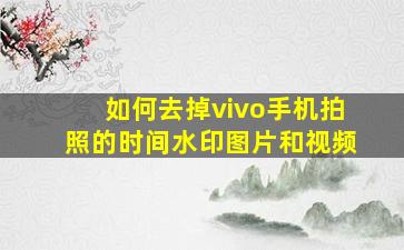 如何去掉vivo手机拍照的时间水印图片和视频