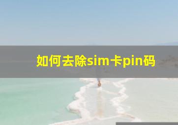 如何去除sim卡pin码