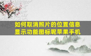 如何取消照片的位置信息显示功能图标呢苹果手机