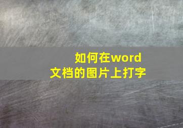 如何在word文档的图片上打字