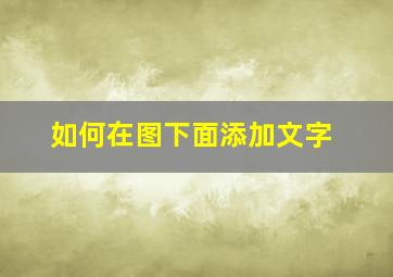 如何在图下面添加文字