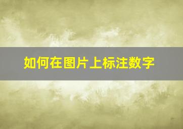 如何在图片上标注数字