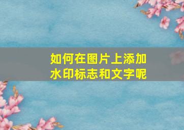 如何在图片上添加水印标志和文字呢