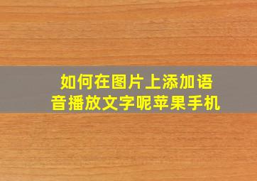 如何在图片上添加语音播放文字呢苹果手机