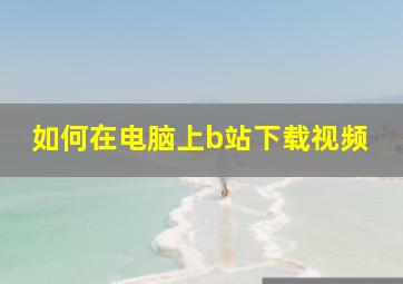 如何在电脑上b站下载视频