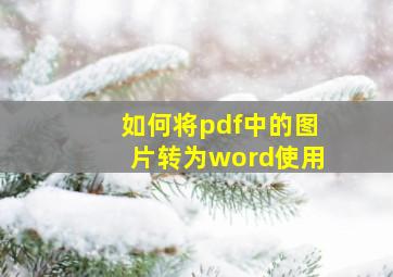 如何将pdf中的图片转为word使用