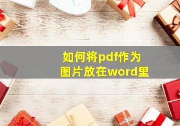 如何将pdf作为图片放在word里