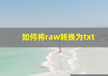 如何将raw转换为txt