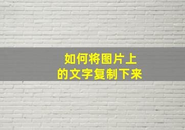 如何将图片上的文字复制下来