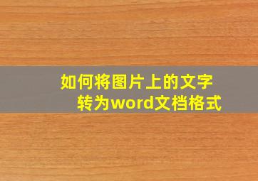 如何将图片上的文字转为word文档格式