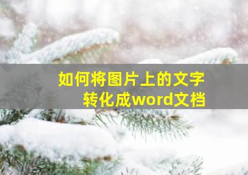 如何将图片上的文字转化成word文档