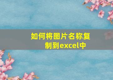 如何将图片名称复制到excel中