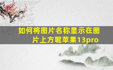 如何将图片名称显示在图片上方呢苹果13pro