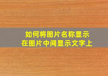 如何将图片名称显示在图片中间显示文字上