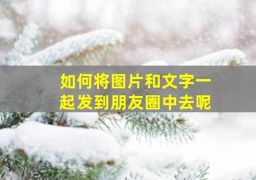 如何将图片和文字一起发到朋友圈中去呢