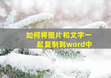 如何将图片和文字一起复制到word中