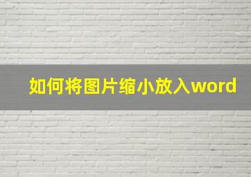 如何将图片缩小放入word