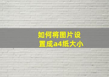 如何将图片设置成a4纸大小