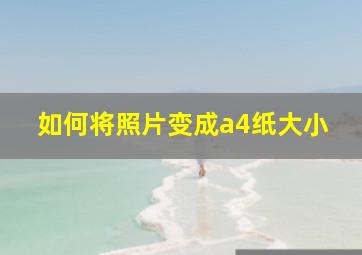 如何将照片变成a4纸大小